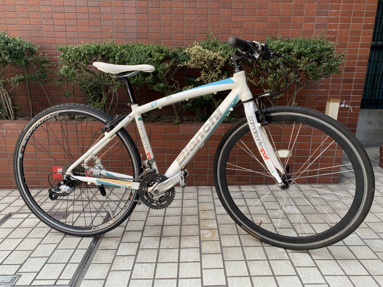 値下げ】ビアンキカメレオンテ3 2013年モデル - クロスバイク